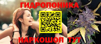 меф Боровичи