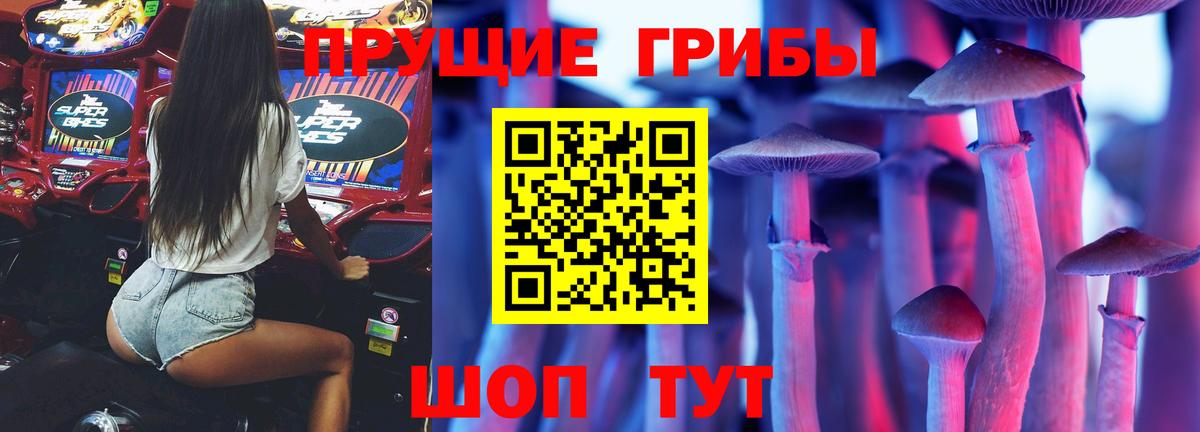Галлюциногенные грибы Cubensis Саров